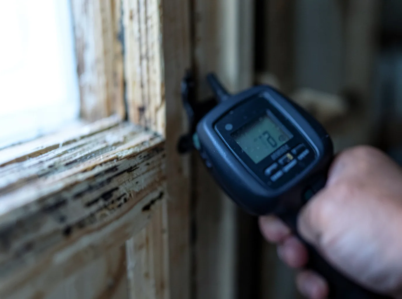 Commercial Water Damage Restoration in Cooter, MO